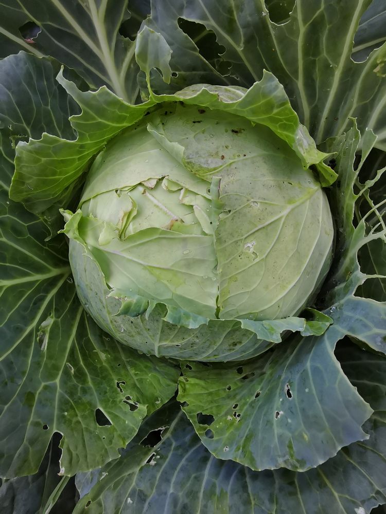 Photograph by Наталья Круглова