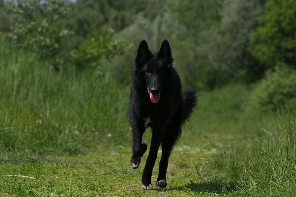 Фотография автора Надежда Лисицына