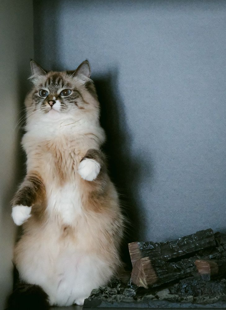 Photograph by Евгения Путинцева