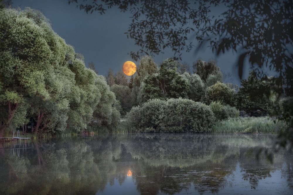 Photograph by Victor Stepanov