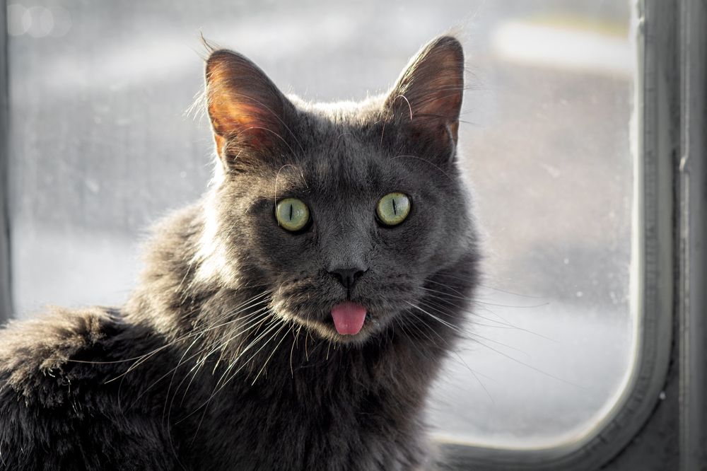 Photograph by Анна Карпенко