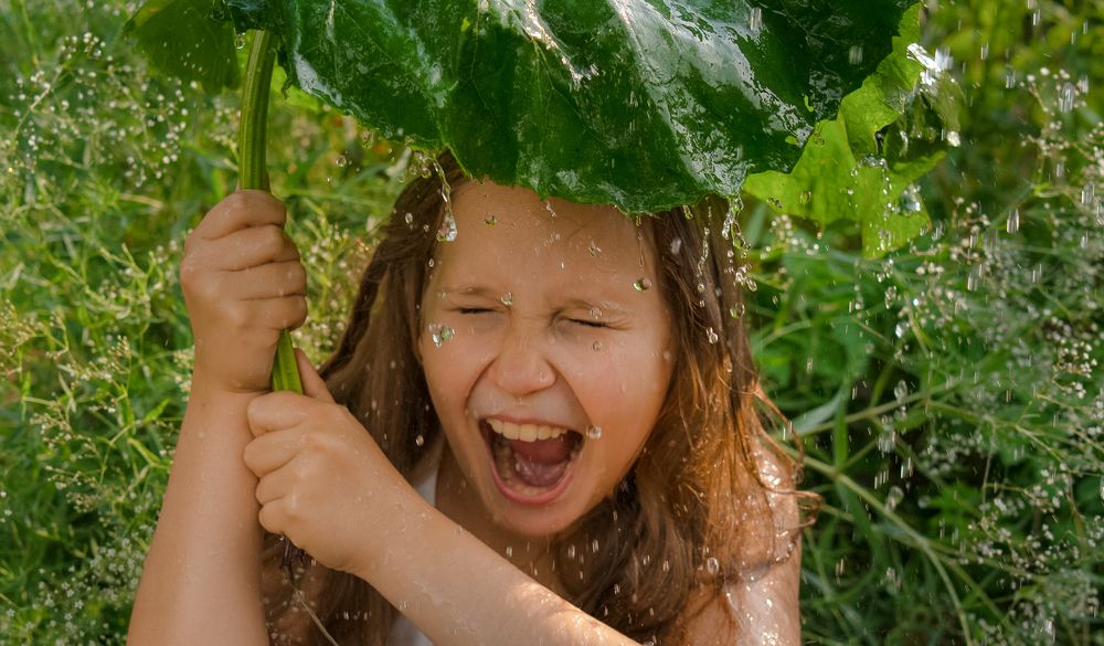 Photograph by Людмила Панюхина