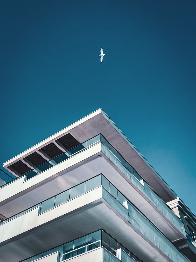 Фотография автора Tikhomirova Olga