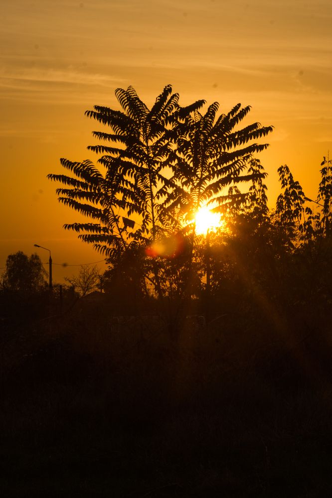 Фотография автора Ксения Смирнова