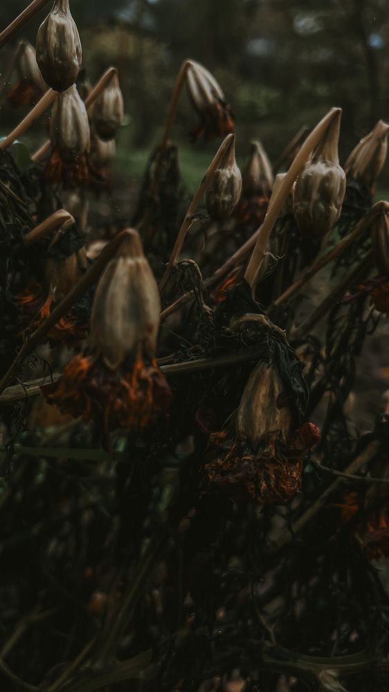 Photograph by Алиса Чугунова