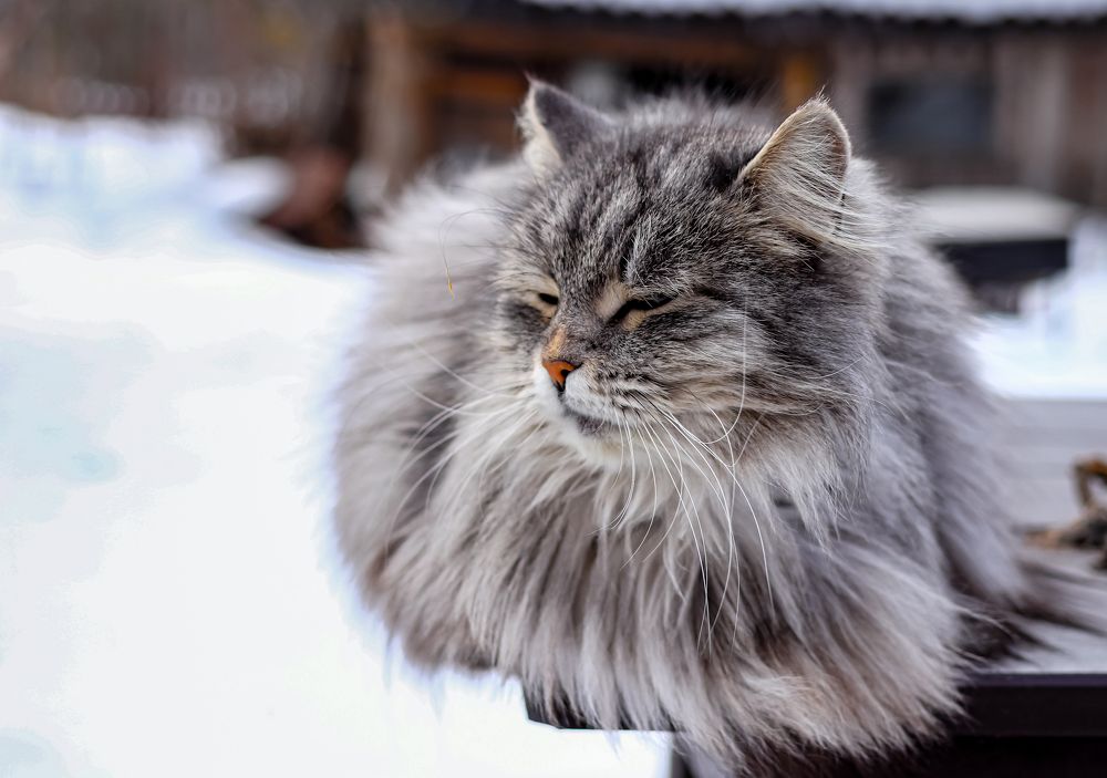Photograph by Руслан Павлов