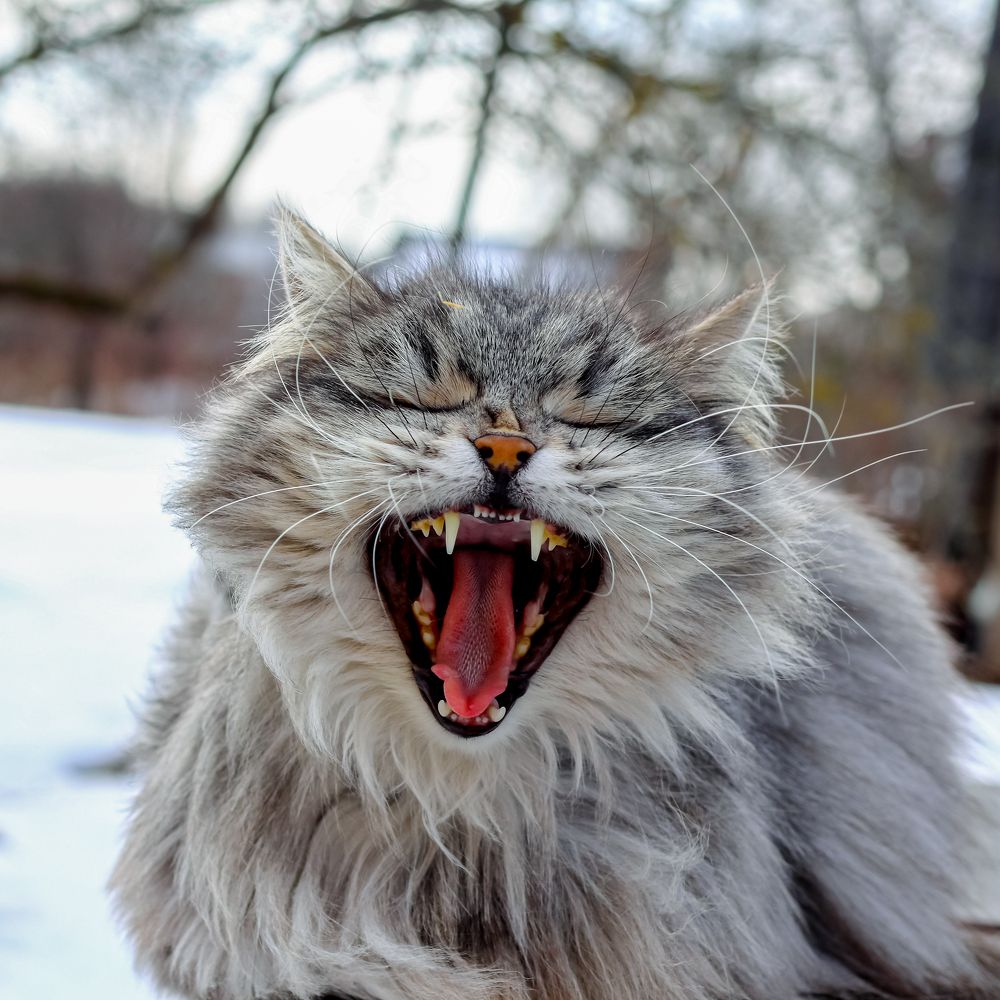 Photograph by Руслан Павлов