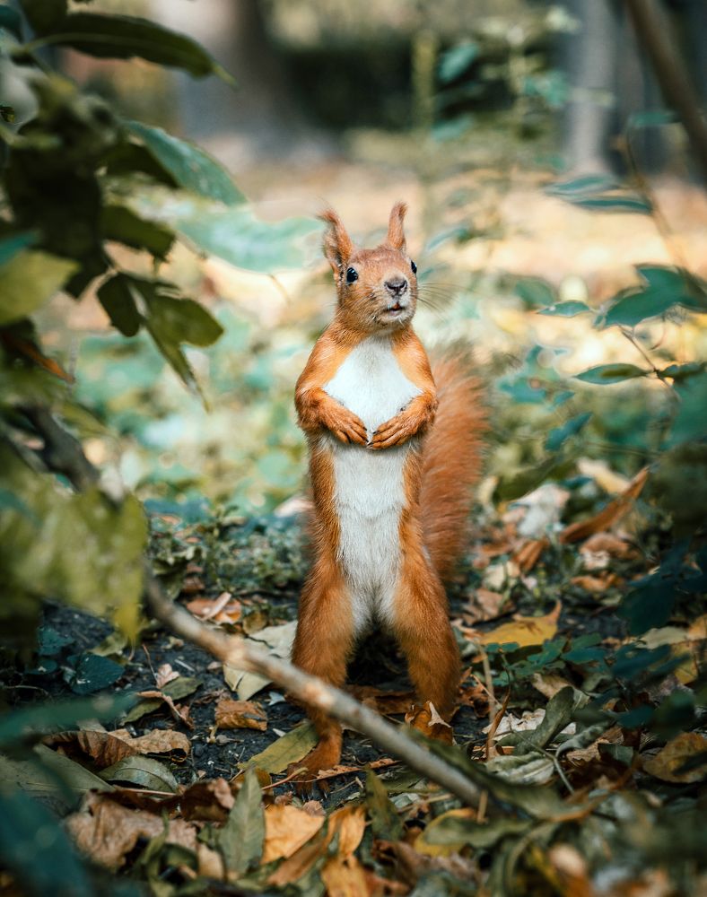 Photograph by Екатерина