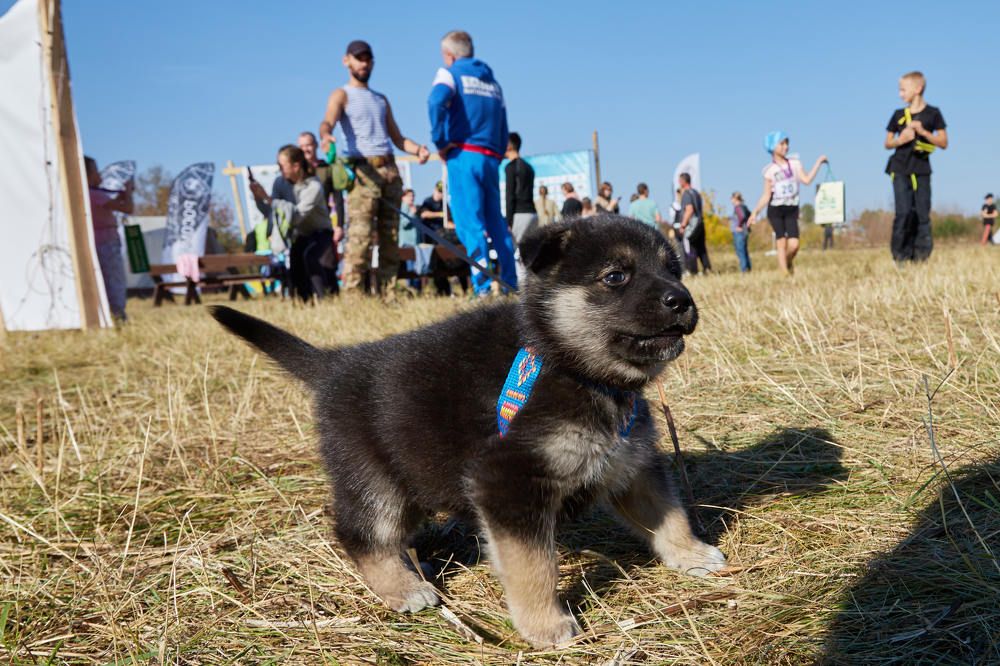 Photograph by Дмитрий Соколов