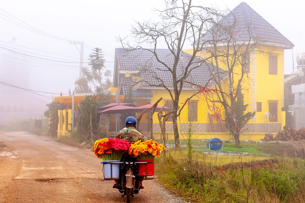 Photograph by Bao Huy Nguyen