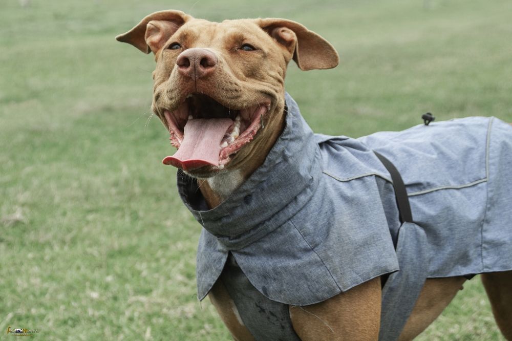 Photograph by Fábio Martins