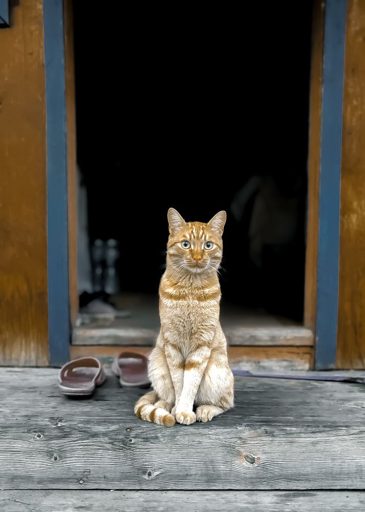 Photograph by Наталья Веряскина