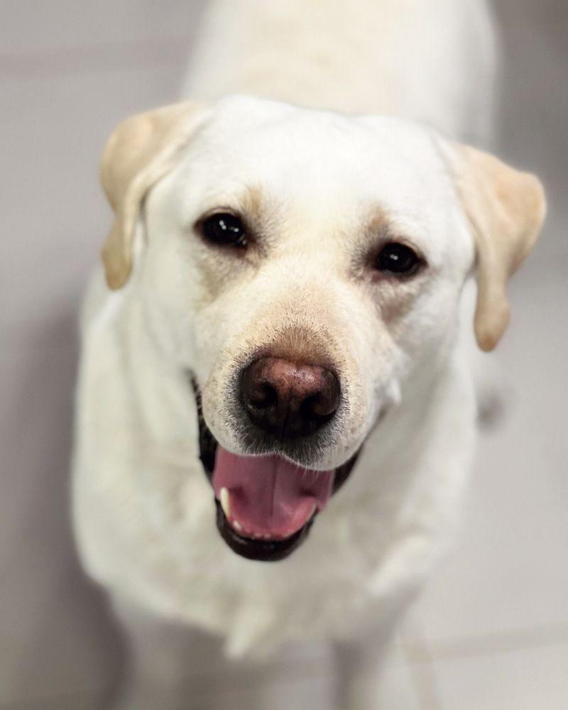 Photograph by Татьяна Волохова