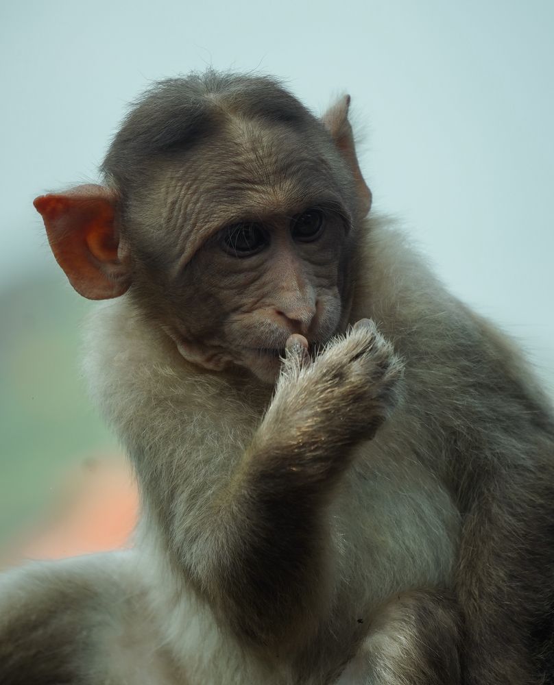 Photograph by Sathya Surya