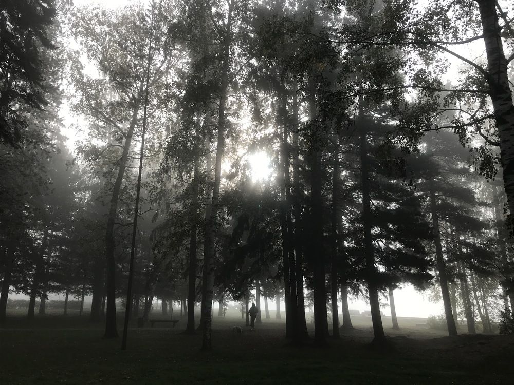 Photograph by Оксана Василевская