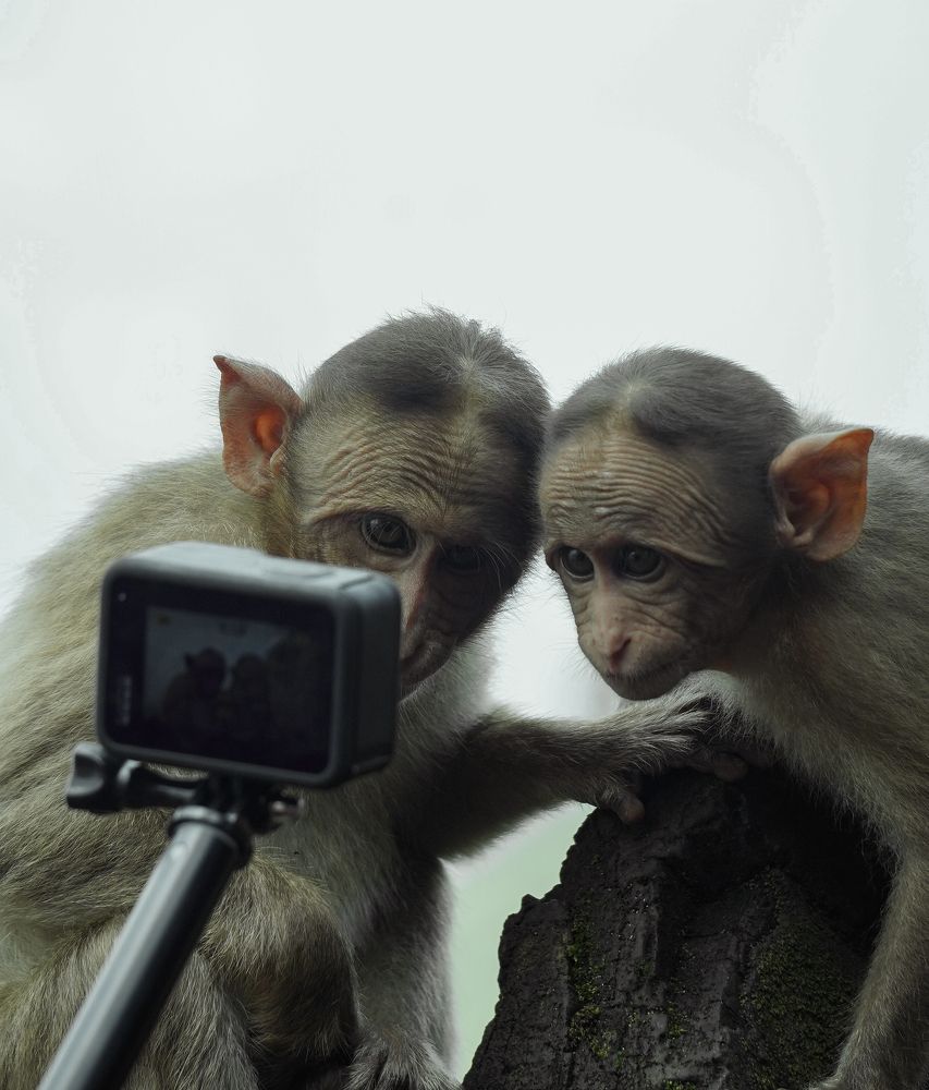 Photograph by Sathya Surya