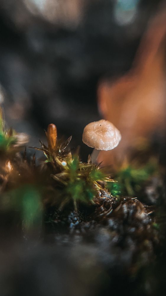 Photograph by Алиса Чугунова