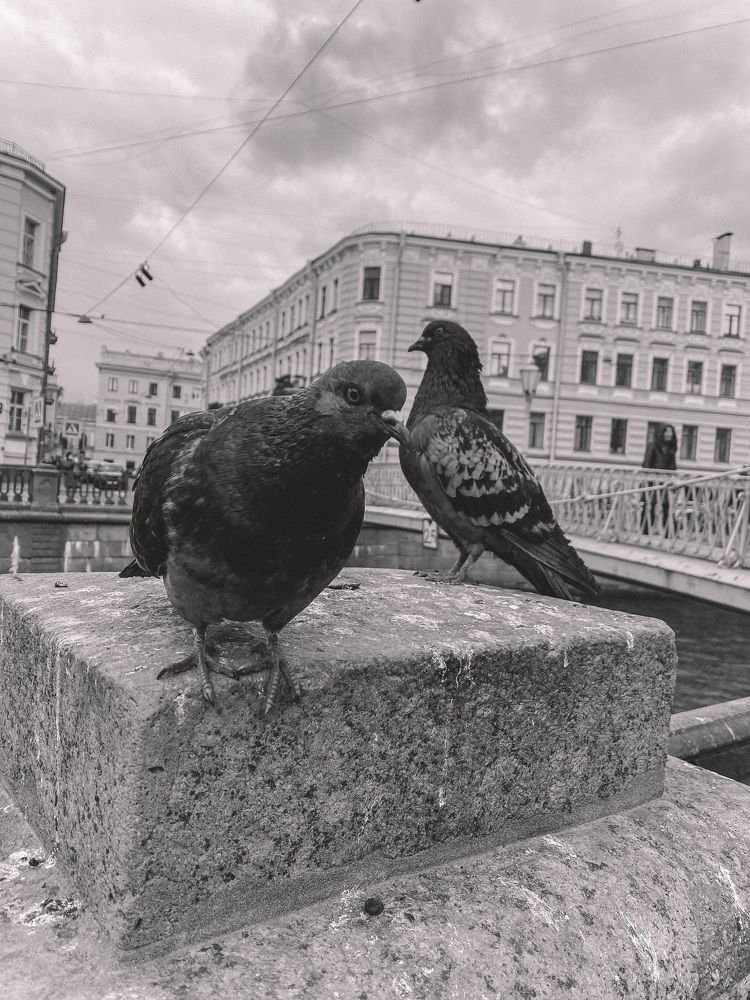 Photograph by Мария Петрова