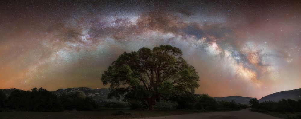 Photograph by Neil Bugeja