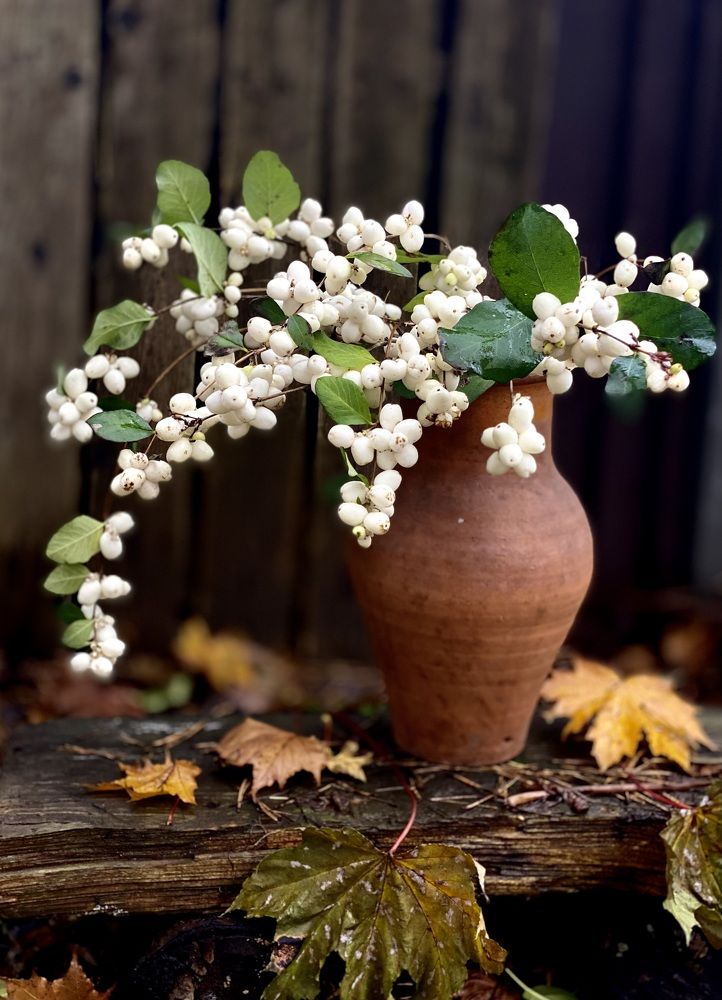 Фотография автора Evgeniya Ivanova