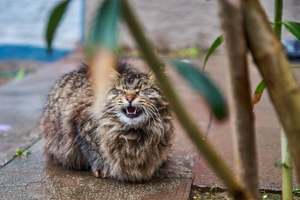 Photograph by Дмитрий Солодухин