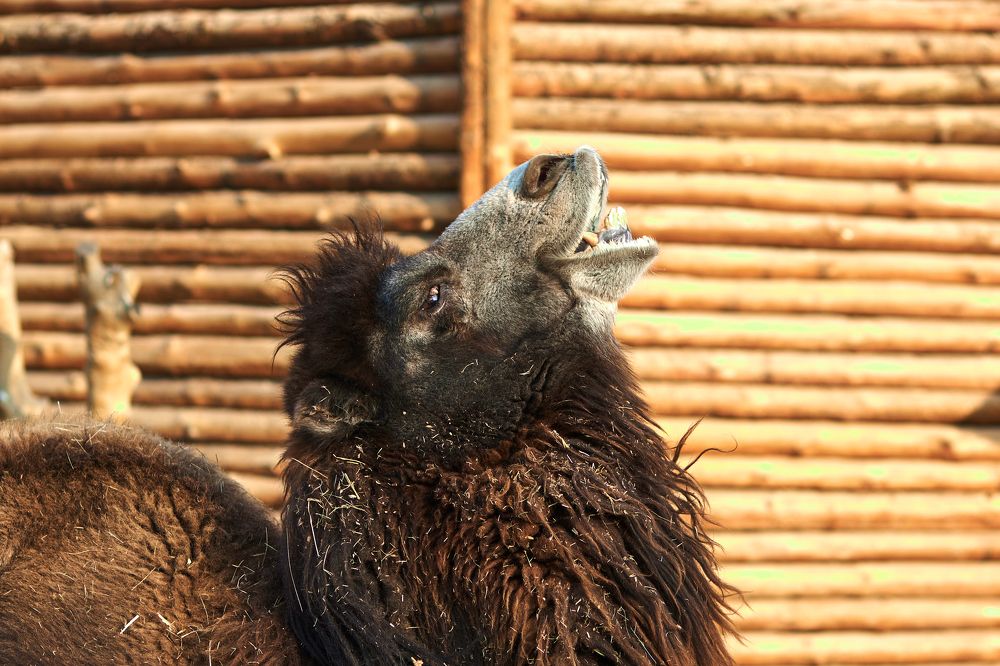 Photograph by Владислав Данилов