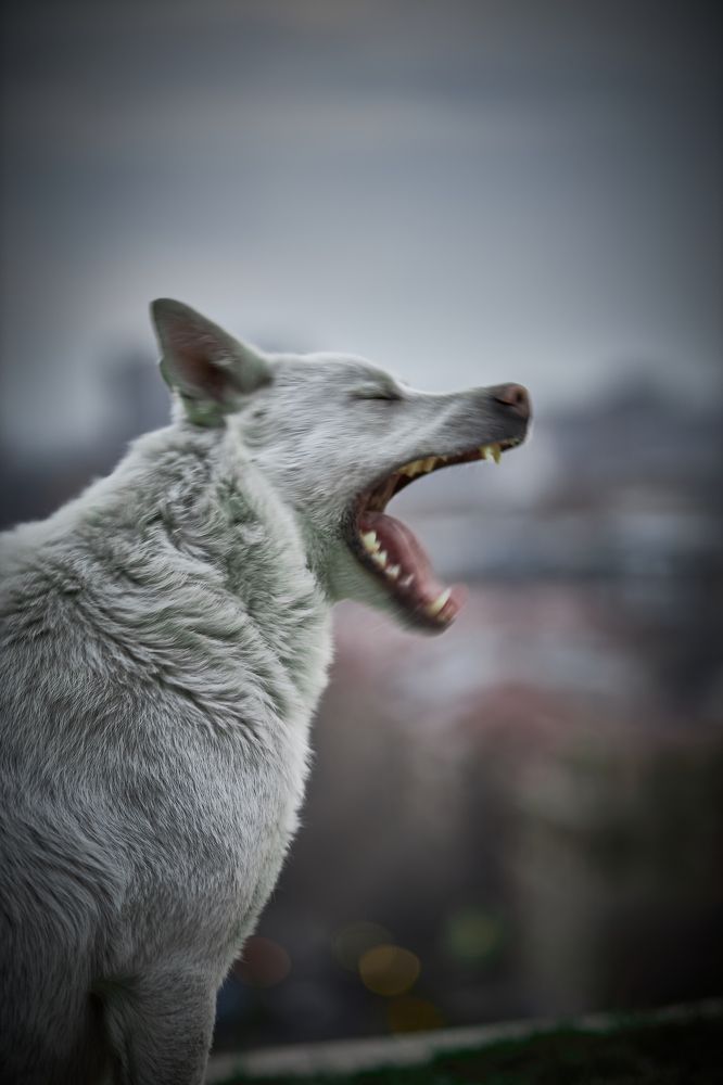 Photograph by Владислав Данилов