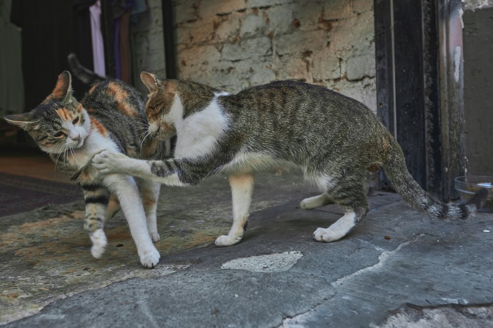 Photograph by Владислав Данилов