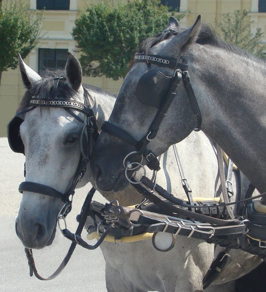 Photograph by Boris Butianov