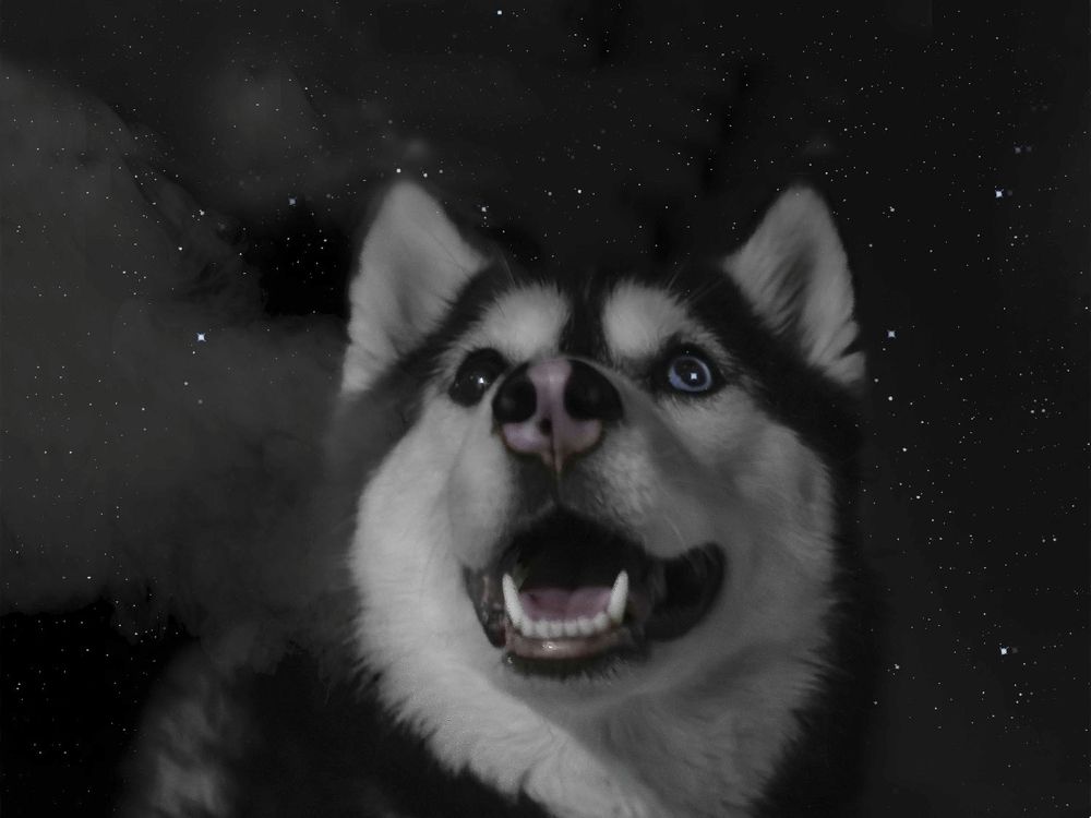 Photograph by Виктория   Никонова