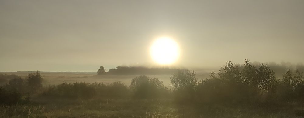 Photograph by Григорий Полосин