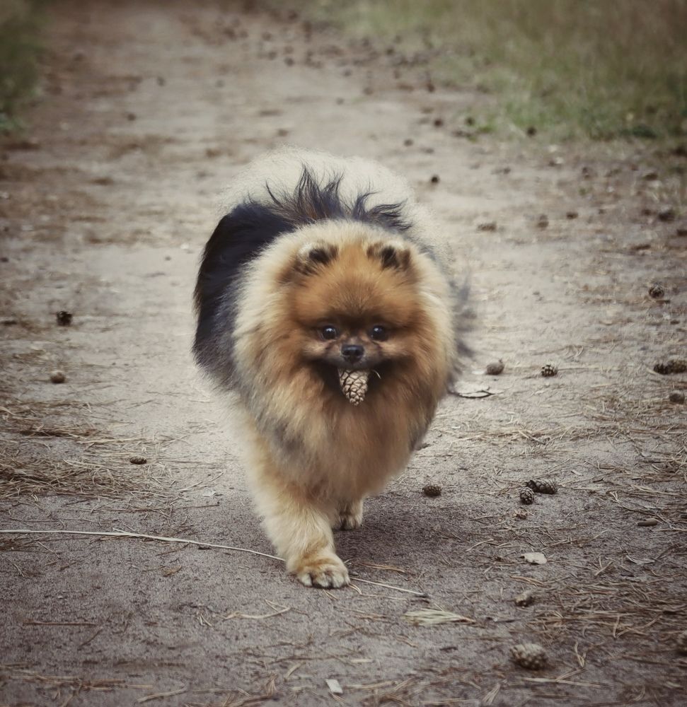 Photograph by Кира Бахвалова