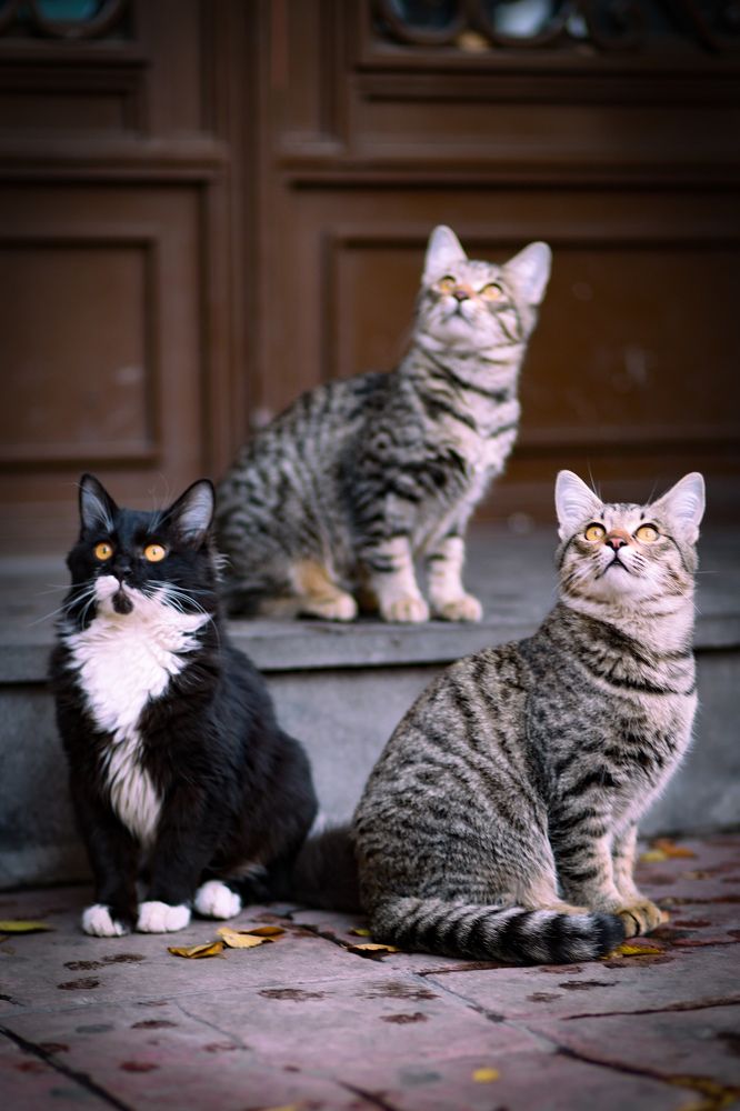 Photograph by Владислав Данилов