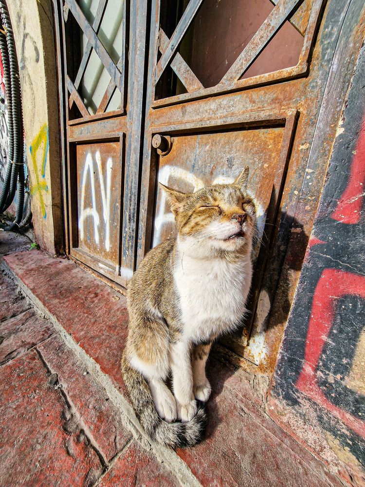 Photograph by Владислав Данилов