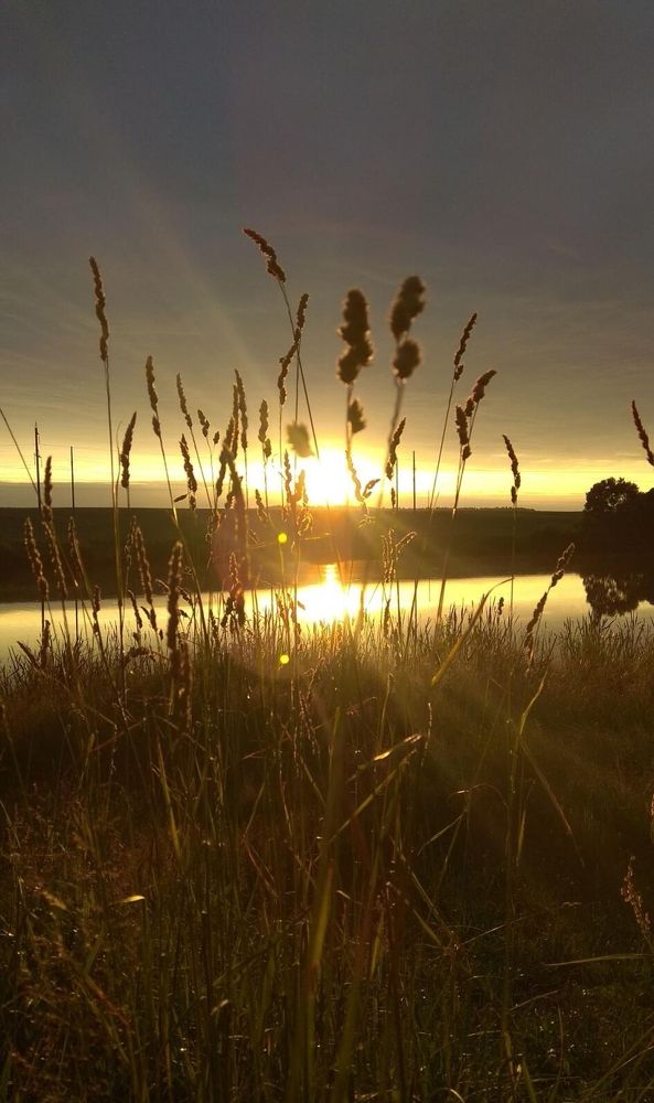 Фотография автора Марина Луценко
