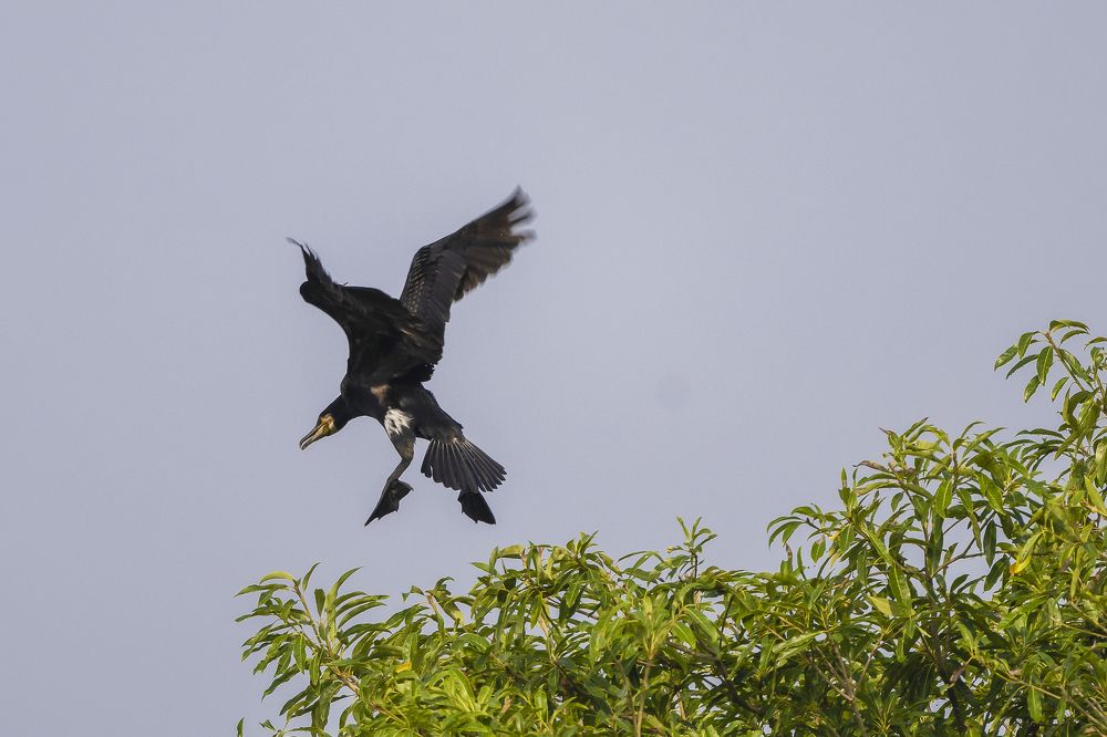 Photograph by Jaikumar Moorthi