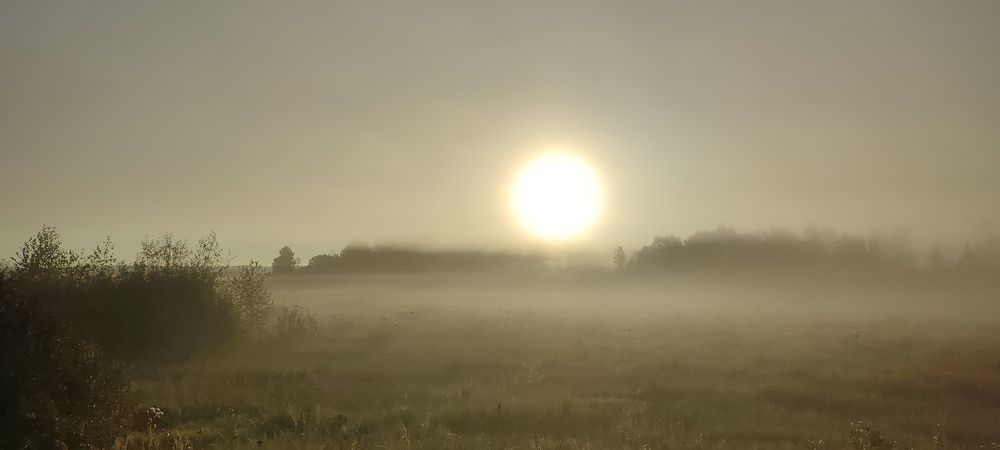 Photograph by Григорий Полосин