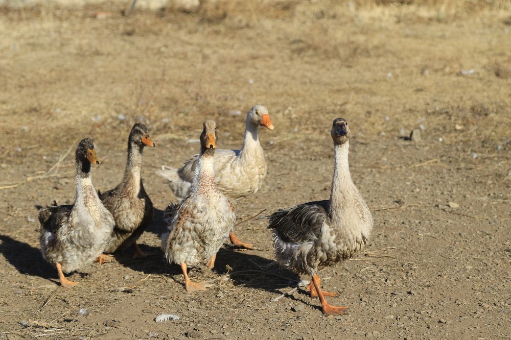 Photograph by urantogos togos