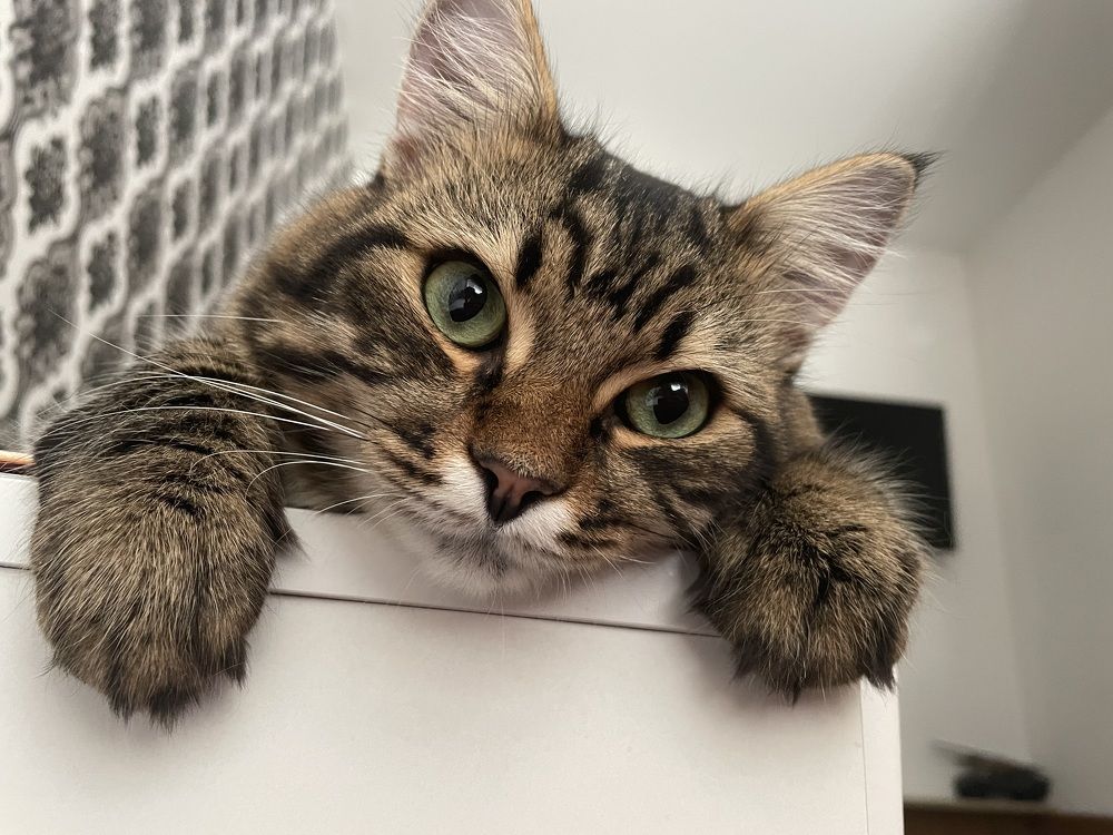 Photograph by Антонина Кирбатова