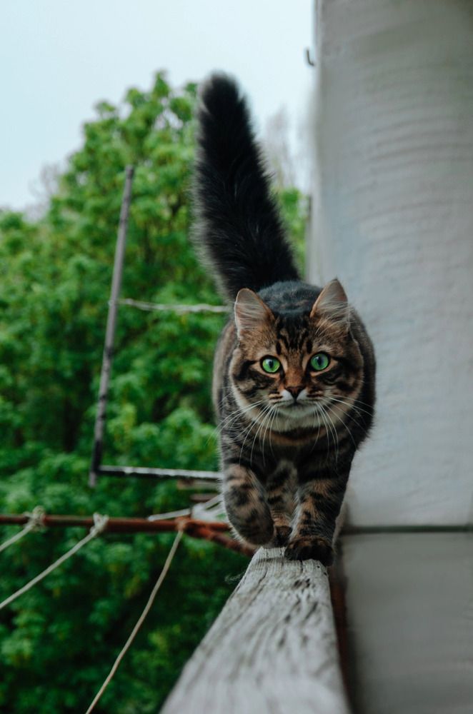 Photograph by Антонина Кирбатова