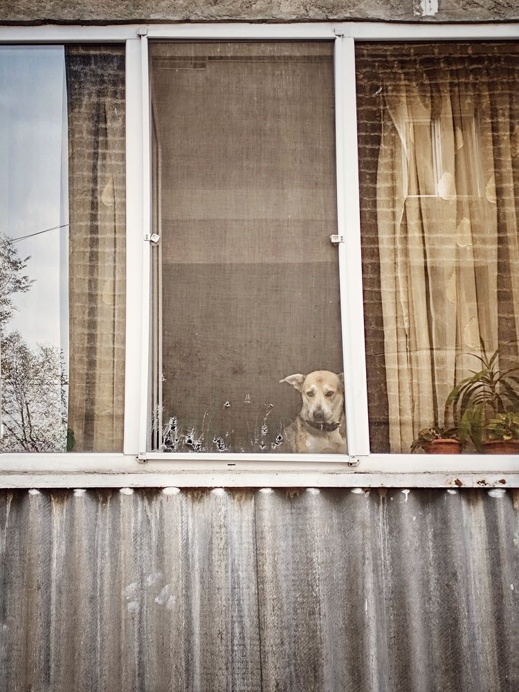 Photograph by Arsen Chachoyan