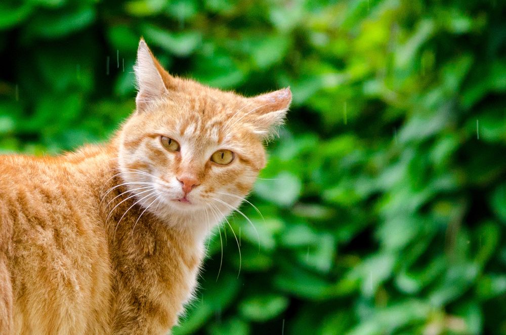 Photograph by Sahar Jafari