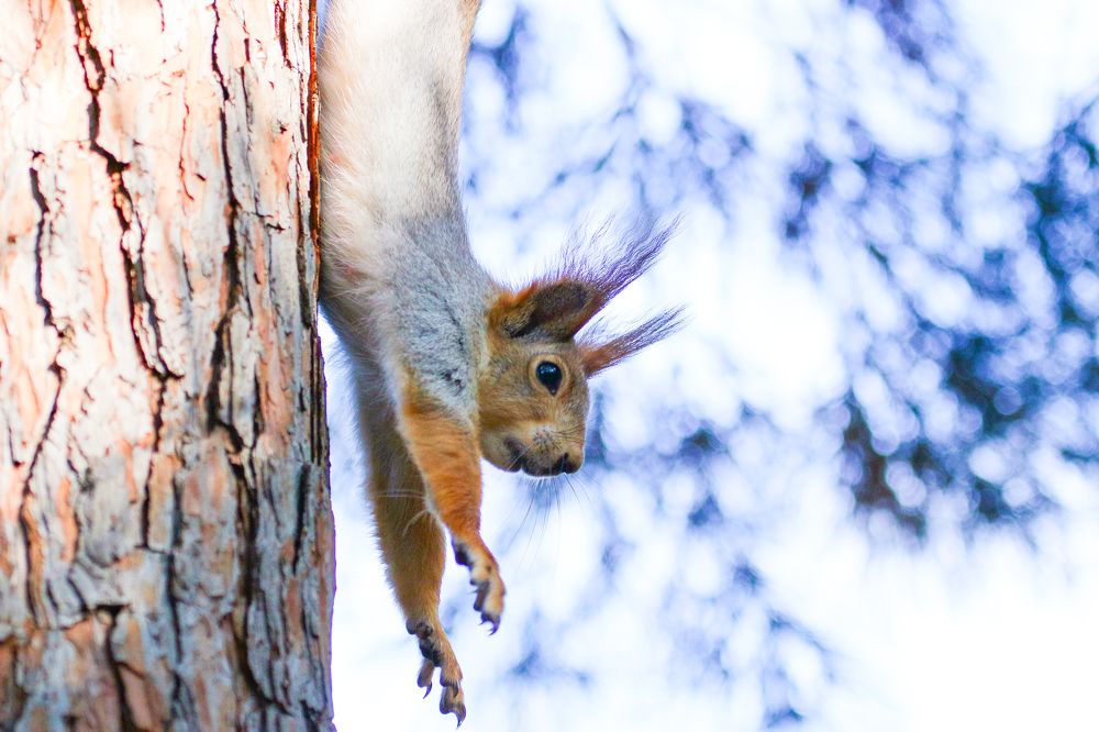 Photograph by Мария Мостипака