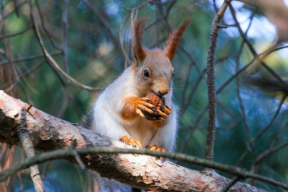 Photograph by Мария Мостипака