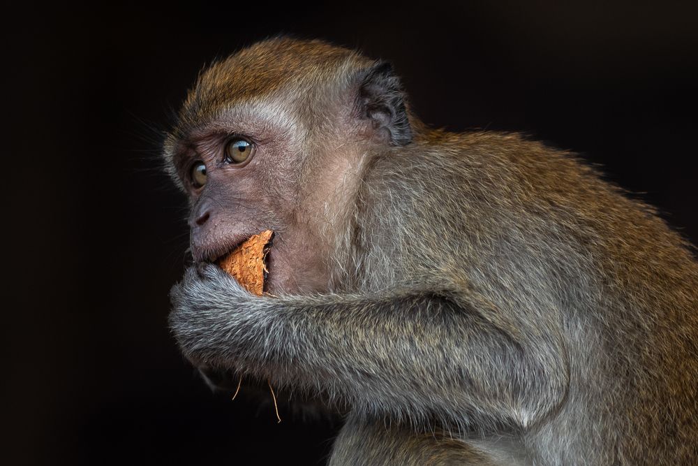 Photograph by Bruno Ribeiro