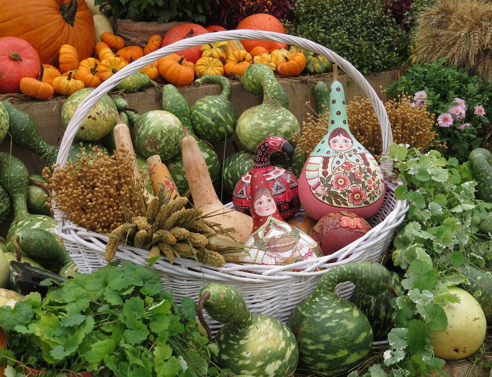 Photograph by Елена Казарина