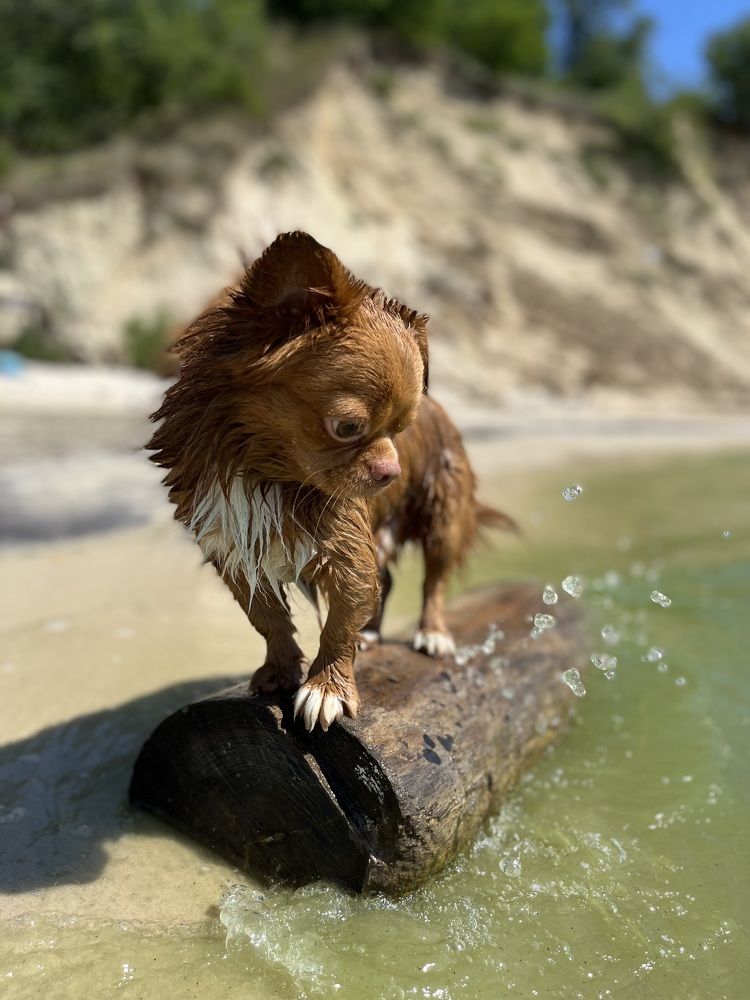 Photograph by Nataliia Pravda