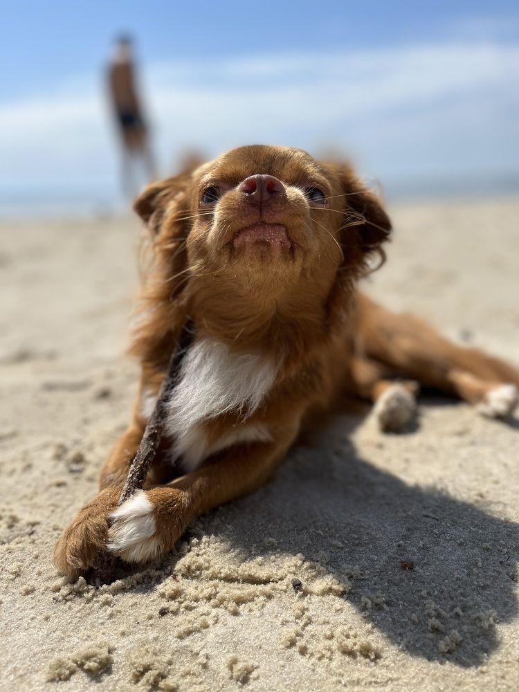 Photograph by Nataliia Pravda