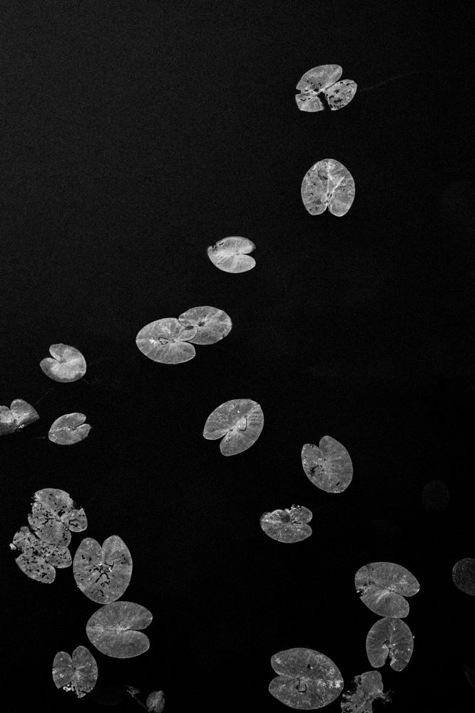 Photograph by Мария Никифорова