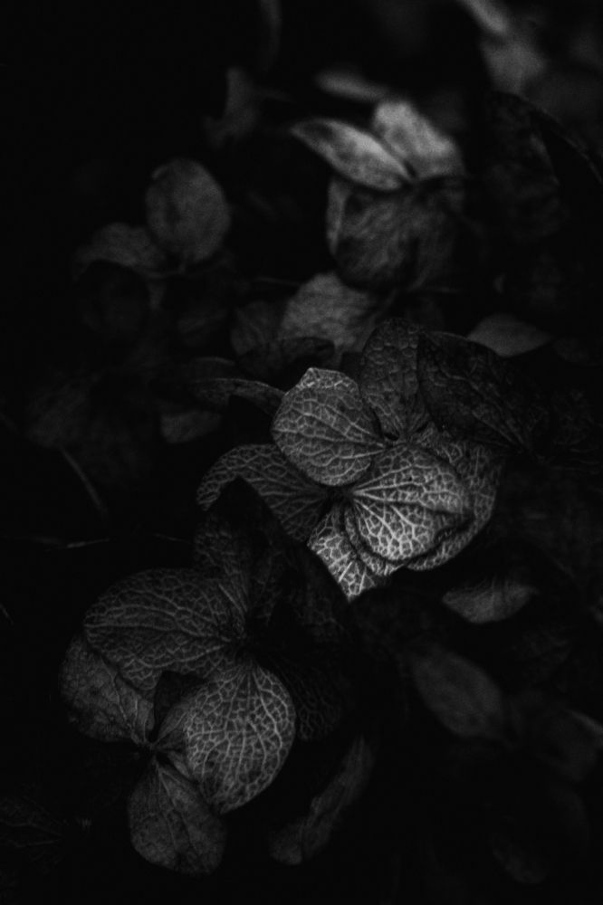 Photograph by Мария Никифорова